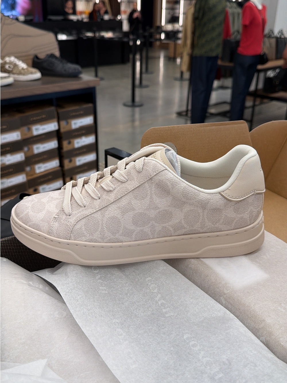 Coach Low-Top Signature Sneaker in Chalk/Beige